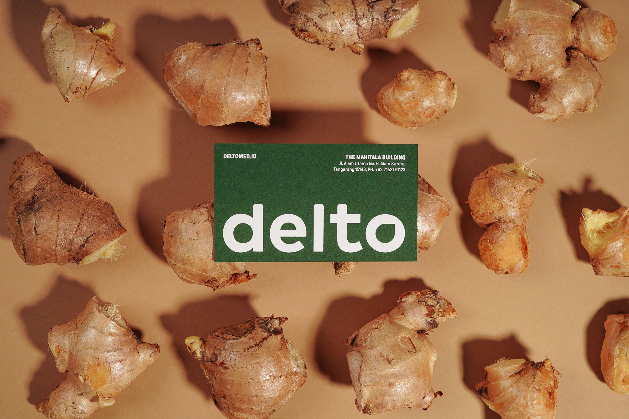 Delto Rebranding by The 1984 Jakarta